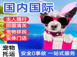 天吉泰航空货运国际宠物托运 【国